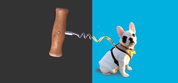 CGAH Dog Banner